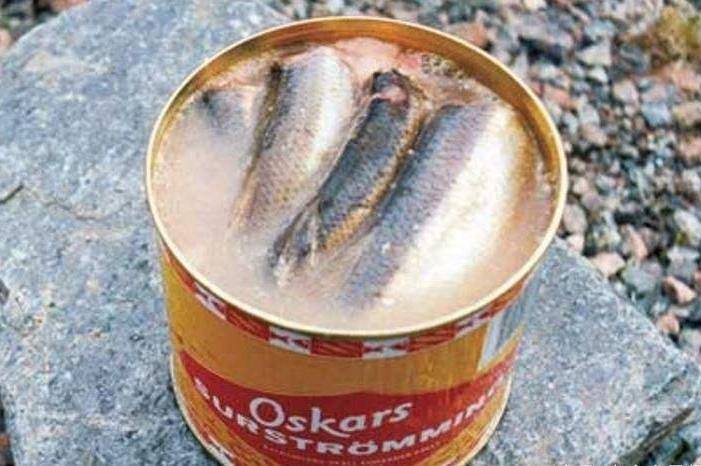 鲱鱼罐头为什么这么臭(鲱鱼罐头为什么这么臭有毒吗)
